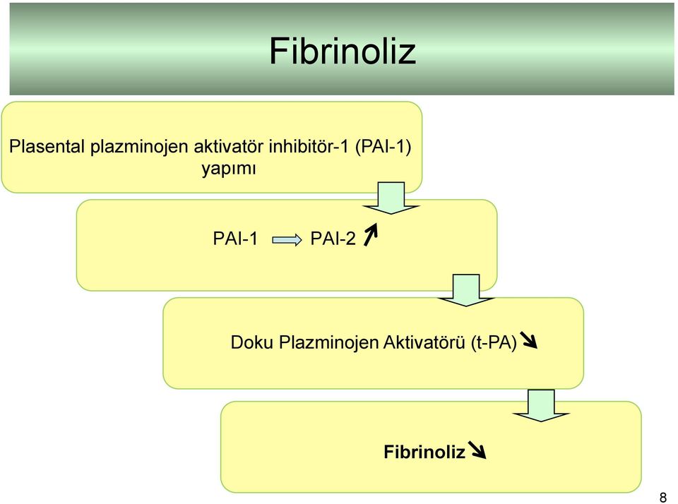 yapımı PAI-1 PAI-2 Doku