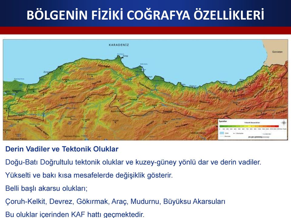 Doğrultulu tektonik oluklar ve kuzey-güney yönlü dar ve derin vadiler.