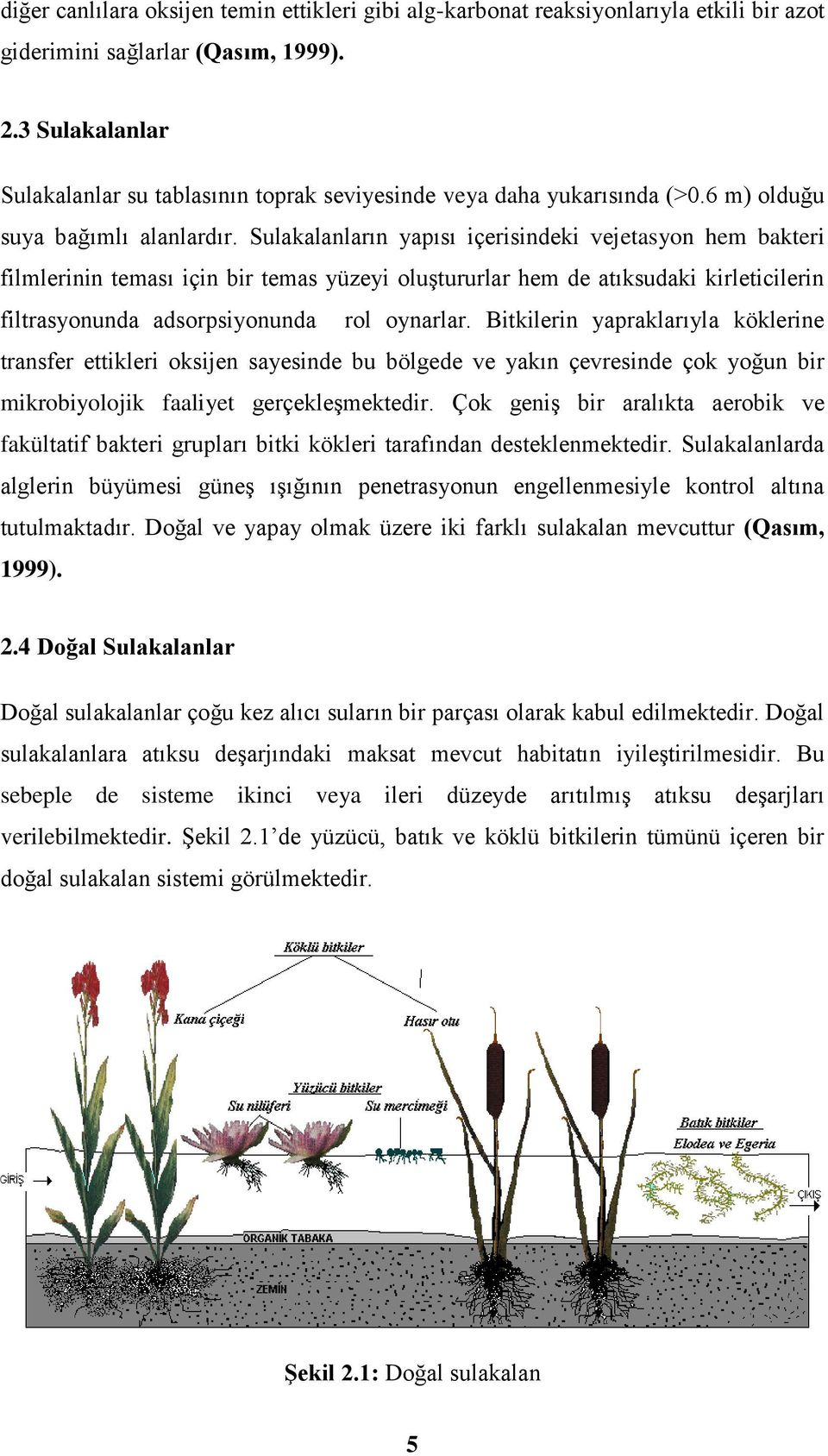 Sulakalanların yapısı içerisindeki vejetasyon hem bakteri filmlerinin teması için bir temas yüzeyi oluştururlar hem de atıksudaki kirleticilerin filtrasyonunda adsorpsiyonunda rol oynarlar.