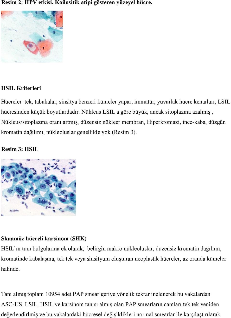 Nükleus LSIL a göre büyük, ancak sitoplazma azalmış, Nükleus/sitoplazma oranı artmış, düzensiz nükleer membran, Hiperkromazi, ince-kaba, düzgün kromatin dağılımı, nükleoluslar genellikle yok (Resim