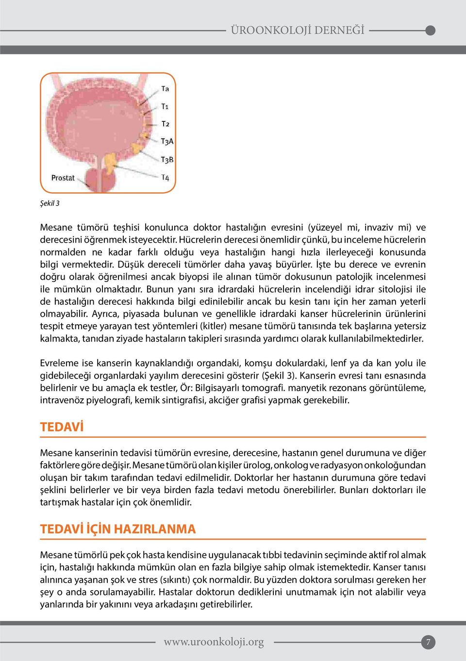 Düşük dereceli tümörler daha yavaş büyürler. İşte bu derece ve evrenin doğru olarak öğrenilmesi ancak biyopsi ile alınan tümör dokusunun patolojik incelenmesi ile mümkün olmaktadır.