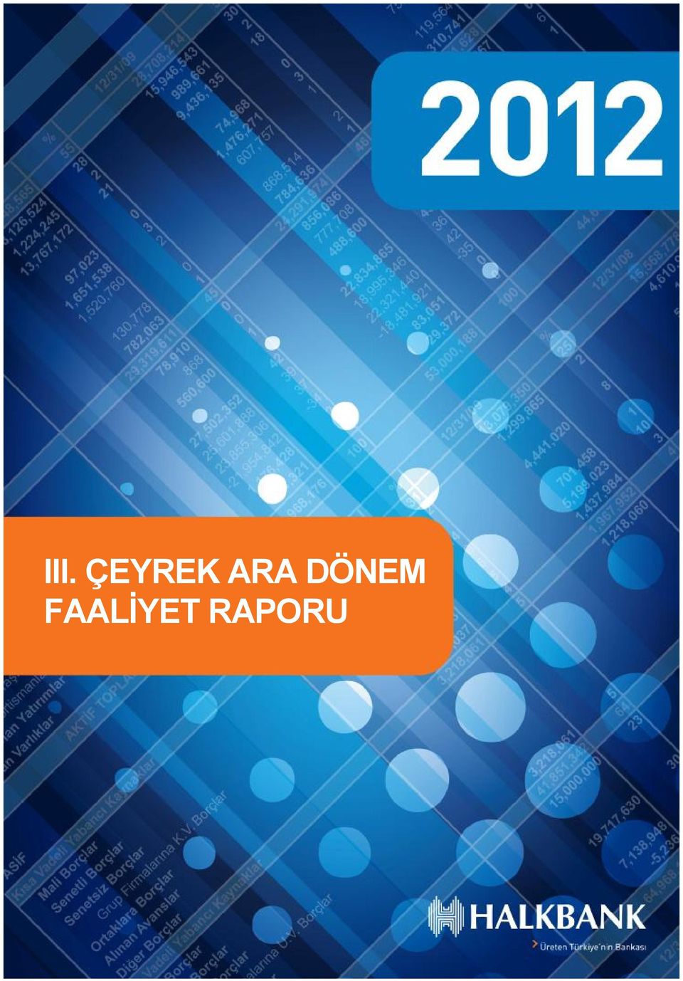 RAPORU Halkbank 2012