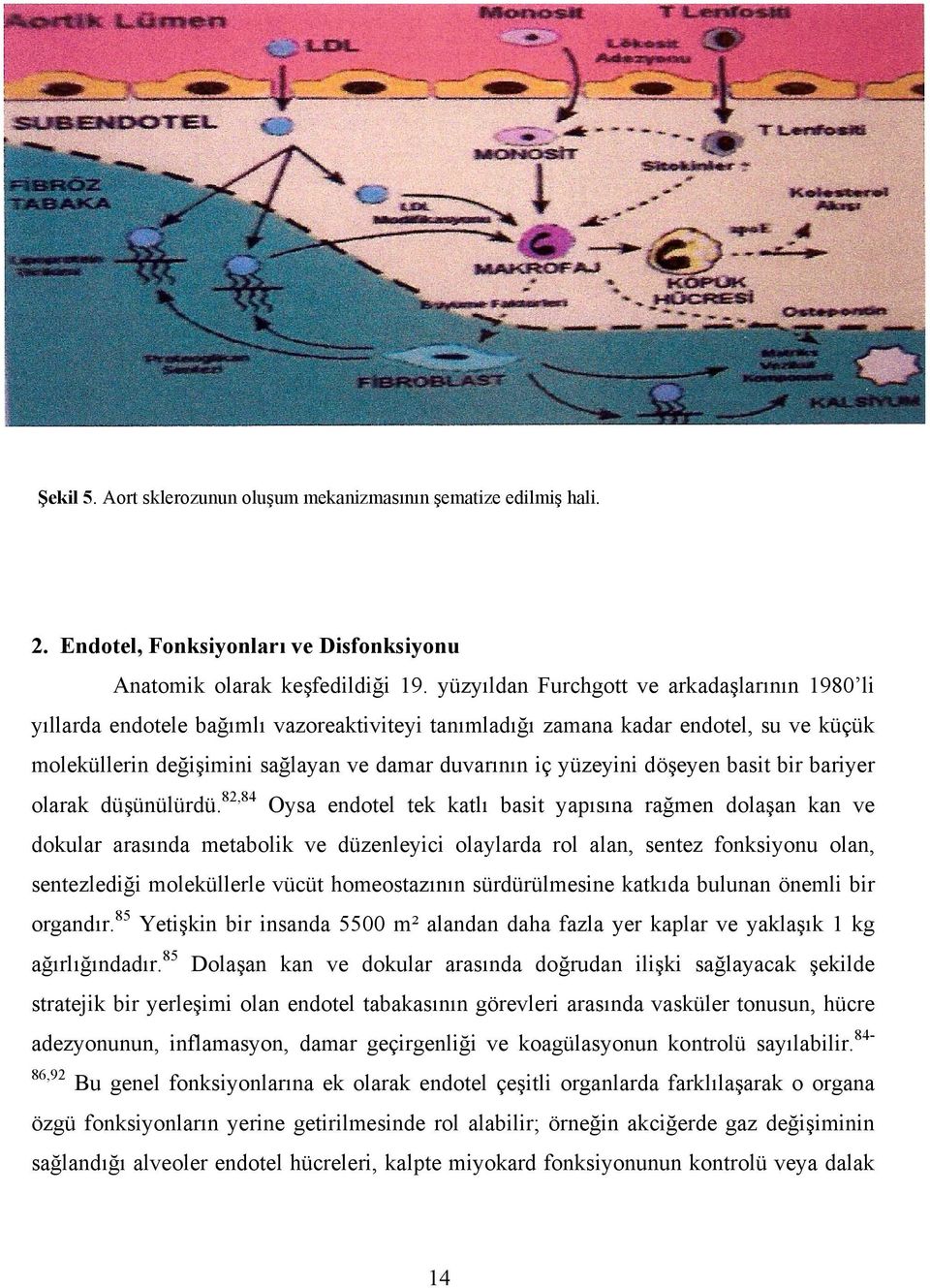 döşeyen basit bir bariyer olarak düşünülürdü.