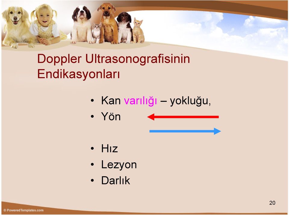 Endikasyonları Kan