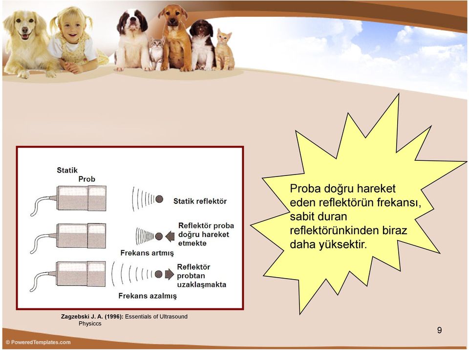 biraz daha yüksektir. Zagzebski J. A.