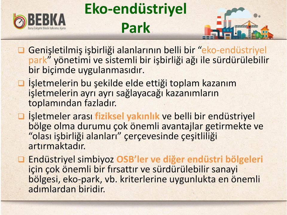 İşletmeler arası fiziksel yakınlık ve belli bir endüstriyel bölge olma durumu çok önemli avantajlar getirmekte ve olası işbirliği alanları çerçevesinde çeşitliliği