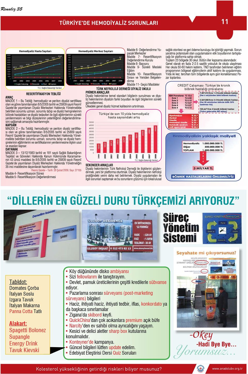 yayımlanan Diyaliz Merkezleri Hakkında Yönetmelikte belirtilen sorumlu uzman, sorumlu tabip ve diyaliz hemşirelerinin böbrek hastalıkları ve diyaliz tedavileri ile ilgili eğitimlerinin sürekli