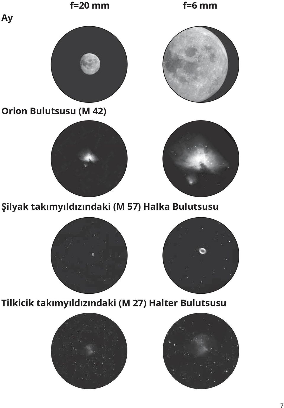 57) Halka Bulutsusu Tilkicik