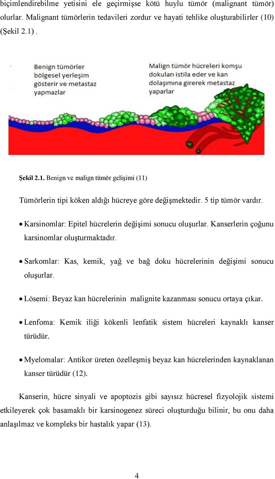 Kanserlerin çoğunu karsinomlar oluşturmaktadır. Sarkomlar: Kas, kemik, yağ ve bağ doku hücrelerinin değişimi sonucu oluşurlar. Lösemi: Beyaz kan hücrelerinin malignite kazanması sonucu ortaya çıkar.