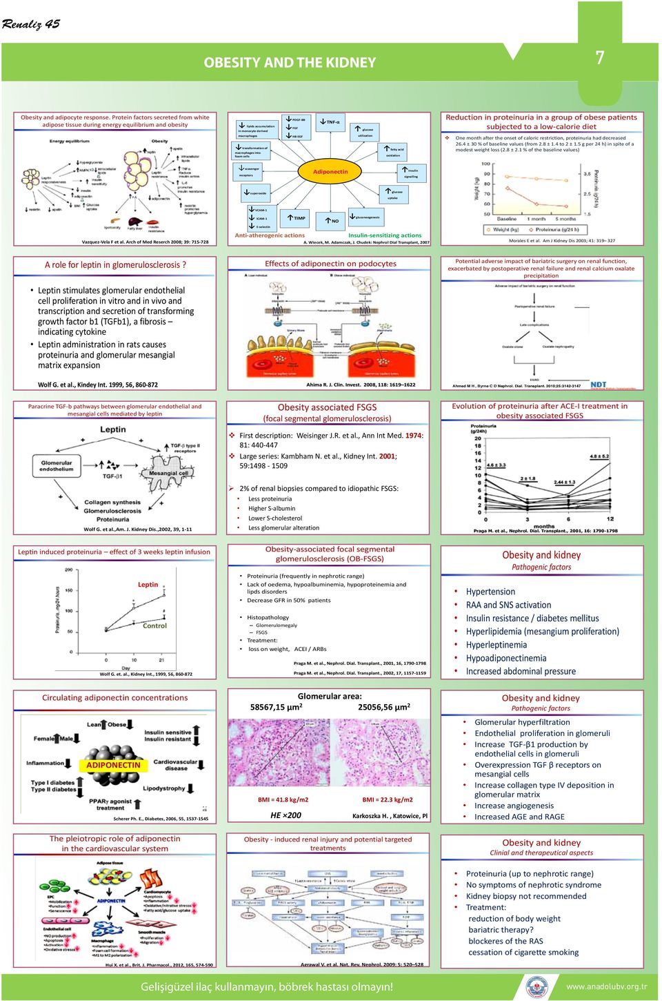 patients subjected to a low-calorie diet macrophages transformation of macrophages into foam cells HB EGF utilization fatty acid oxidation One month after the onset of caloric restriction,