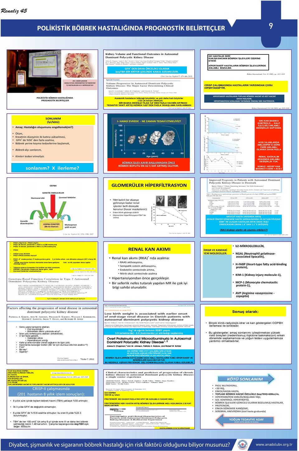 Azotemik hastalarn böbreği büyüktür ve çok daha hzl büyürler (132 ye karşn 3ml/yl) BİR BAŞKA DEĞİŞLE YILDA %5DEN FAZLA HACMİN ARTMASI TEDAVİYE YANIT: ARTIŞ HIZINDA %5DEN FAZLA YAVAŞLAMA SAĞLANMASI