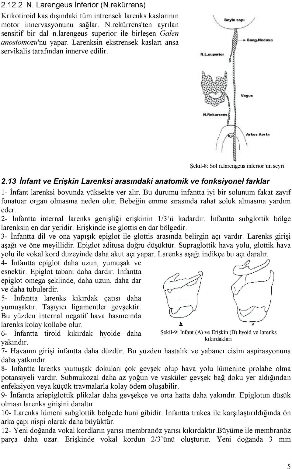13 İnfant ve Erişkin Larenksi arasındaki anatomik ve fonksiyonel farklar 1- İnfant larenksi boyunda yüksekte yer alır.