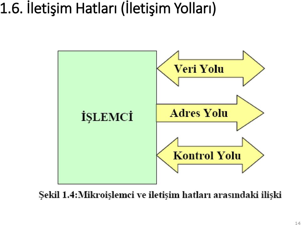 Hatları (