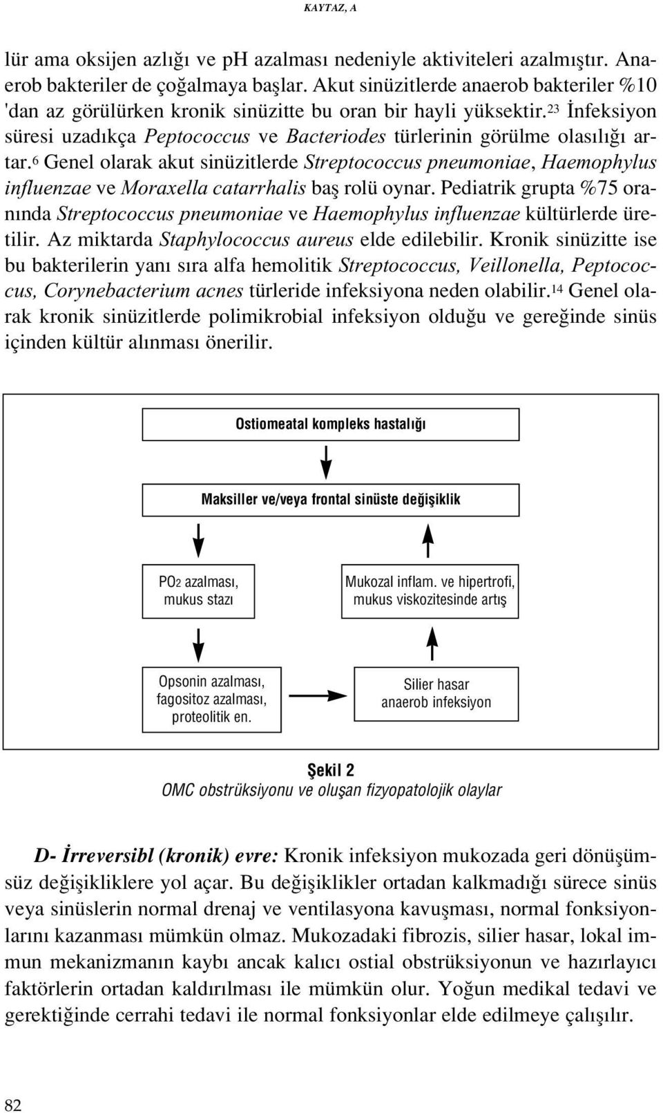 6 Genel olarak akut sinüzitlerde Streptococcus pneumoniae, Haemophylus influenzae ve Moraxella catarrhalis bafl rolü oynar.