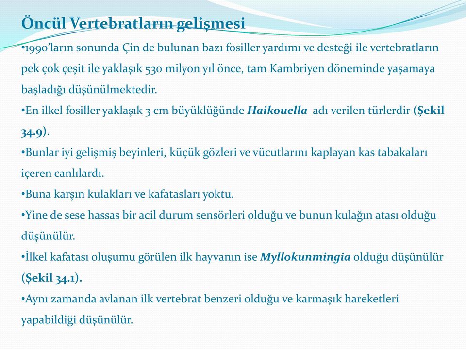 Bunlar iyi gelişmiş beyinleri, küçük gözleri ve vücutlarını kaplayan kas tabakaları içeren canlılardı. Buna karşın kulakları ve kafatasları yoktu.