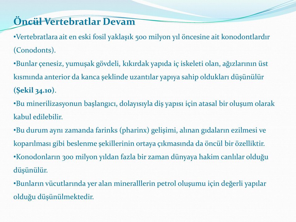 Bu minerilizasyonun başlangıcı, dolayısıyla diş yapısı için atasal bir oluşum olarak kabul edilebilir.