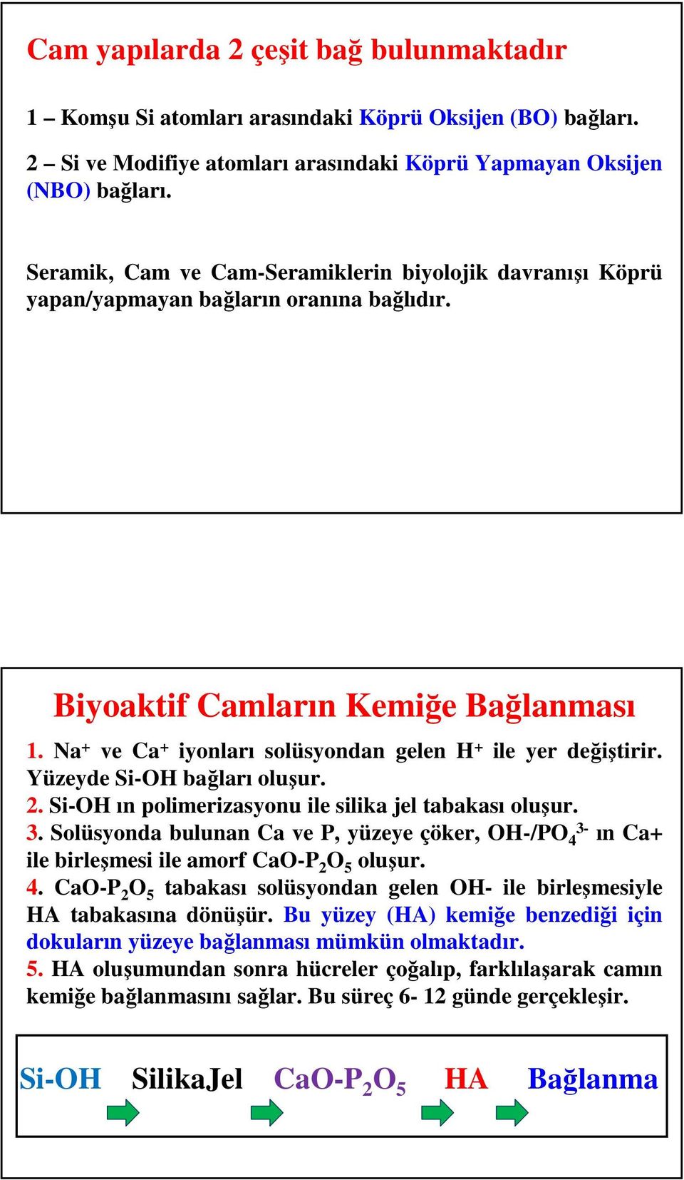 Na + ve Ca + iyonları solüsyondan gelen H + ile yer değiştirir. Yüzeyde Si-OH bağları oluşur. 2. Si-OH ın polimerizasyonu ile silika jel tabakası oluşur. 3.