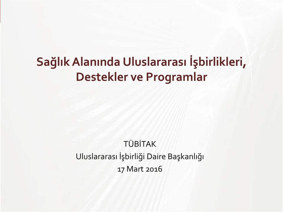 Programlar Uluslararası