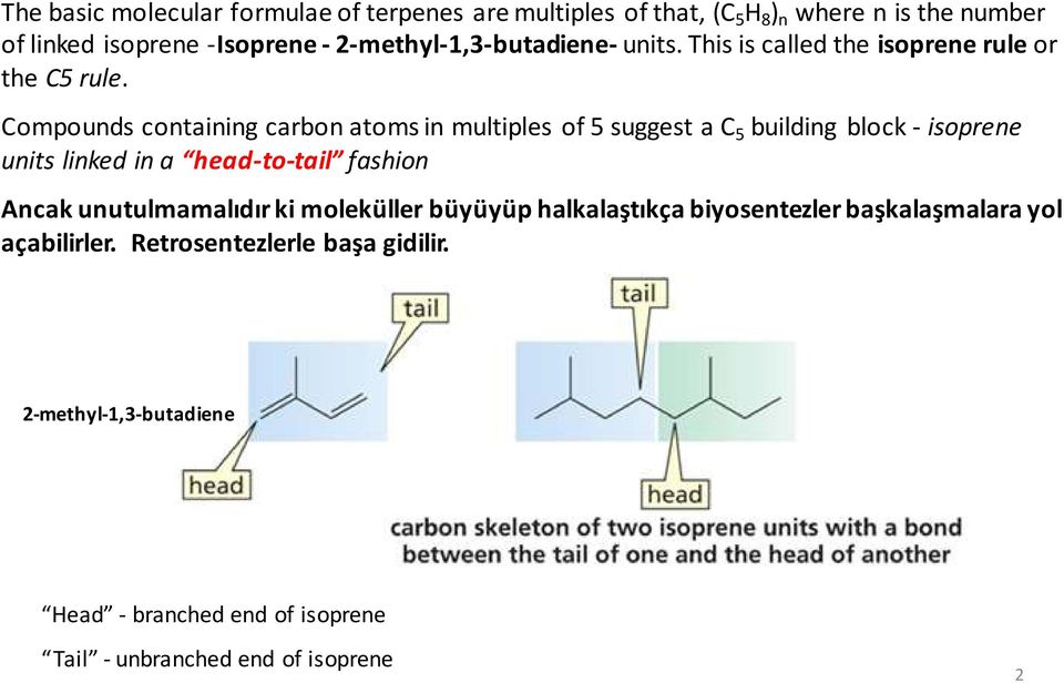 Compounds containing carbon atoms in multiples of 5 suggest a C 5 building block - isoprene units linked in a head-to-tail fashion Ancak