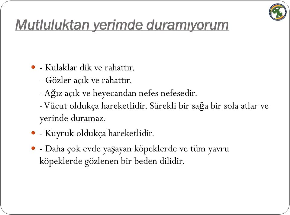 - Vücut oldukça hareketlidir. Sürekli bir sağa bir sola atlar ve yerinde duramaz.