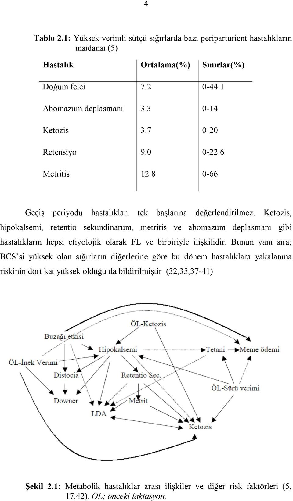 Ketozis, hipokalsemi, retentio sekundinarum, metritis ve abomazum deplasmanı gibi hastalıkların hepsi etiyolojik olarak FL ve birbiriyle ilişkilidir.