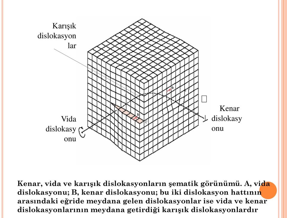 A, vida dislokasyonu; B, kenar dislokasyonu; bu iki dislokasyon hattının