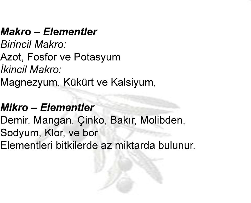 Mikro Elementler Demir, Mangan, Çinko, Bakır, Molibden,