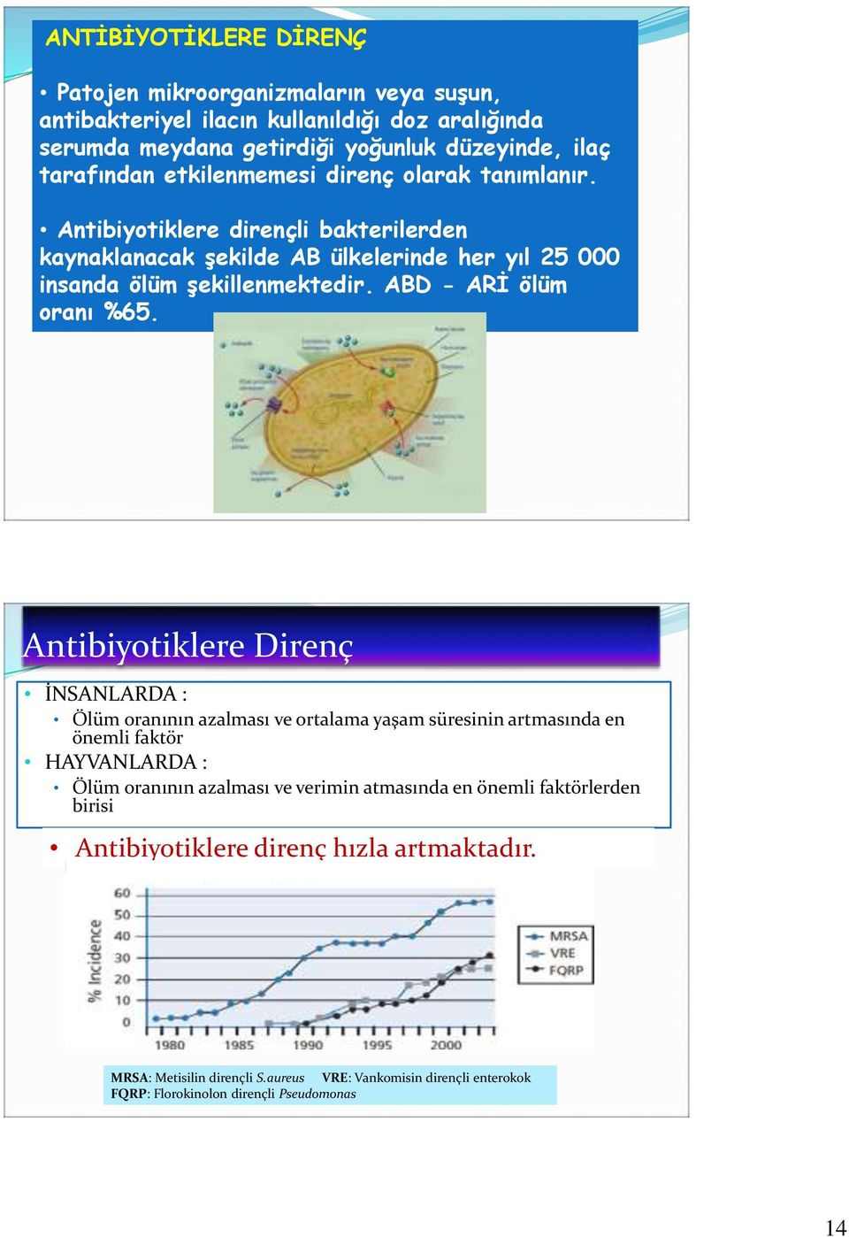 ABD - ARİ ölüm oranı %65.