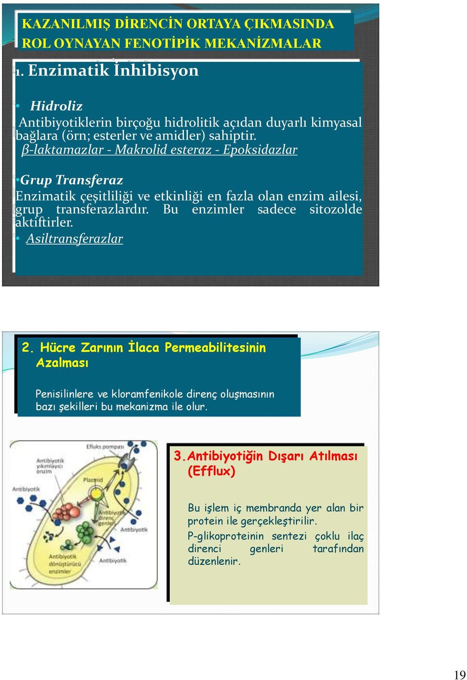 β-laktamazlar - Makrolid esteraz - Epoksidazlar Grup Transferaz Enzimatik çeşitliliği ve etkinliği en fazla olan enzim ailesi, grup transferazlardır. aktiftirler.