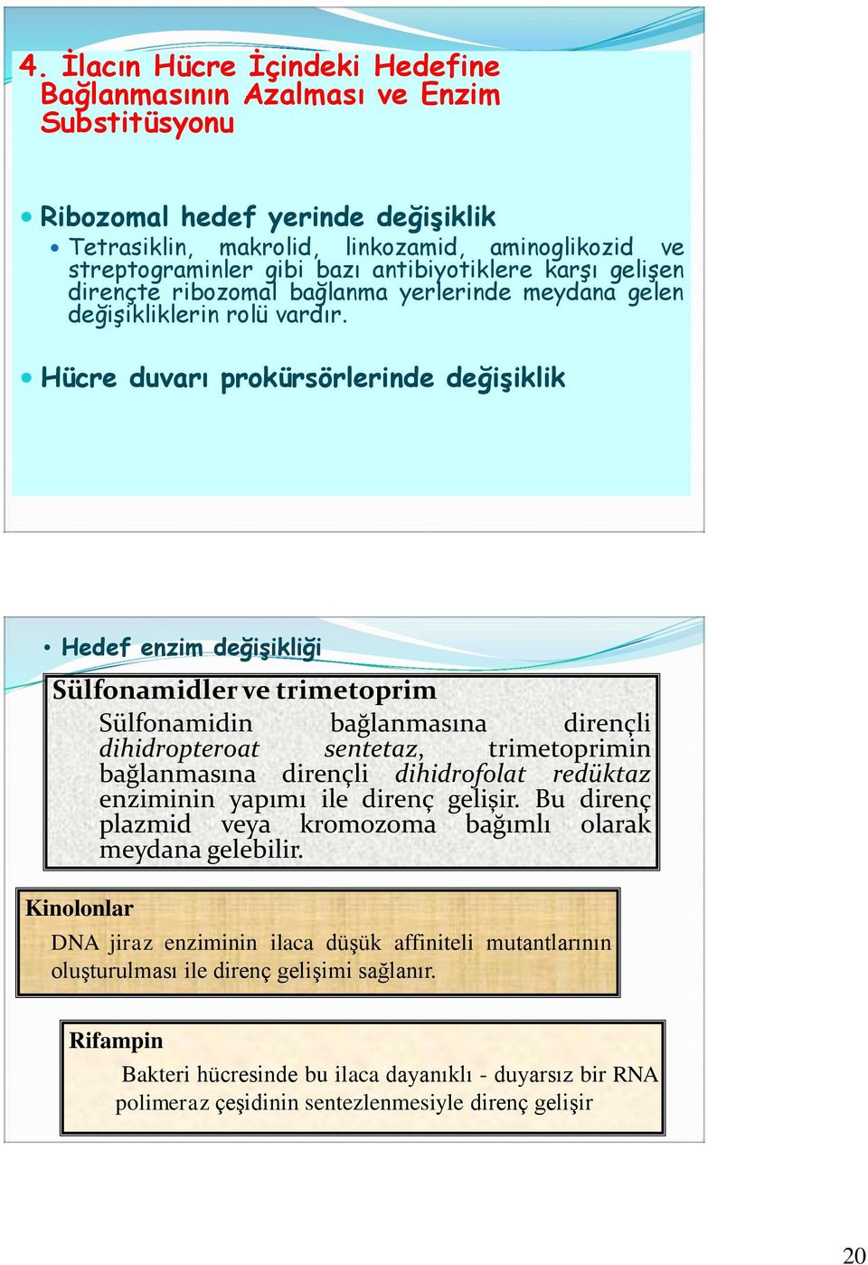 Hücre duvarı prokürsörlerinde değişiklik Hedef enzim değişikliği Sülfonamidler ve trimetoprim Sülfonamidin bağlanmasına dirençli dihidropteroat sentetaz, trimetoprimin bağlanmasına dirençli