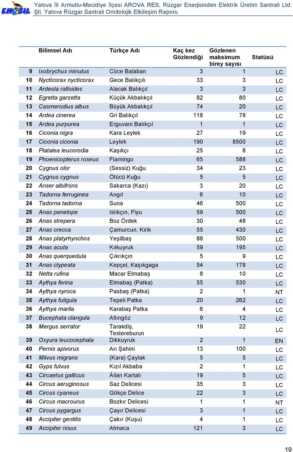 Leylek 27 19 17 Ciconia ciconia Leylek 190 8500 18 Platalea leucorodia Kaşıkçı 25 8 19 Phoenicopterus roseus Flamingo 65 588 20 Cygnus olor (Sessiz) Kuğu 34 23 21 Cygnus cygnus Ötücü Kuğu 5 5 22