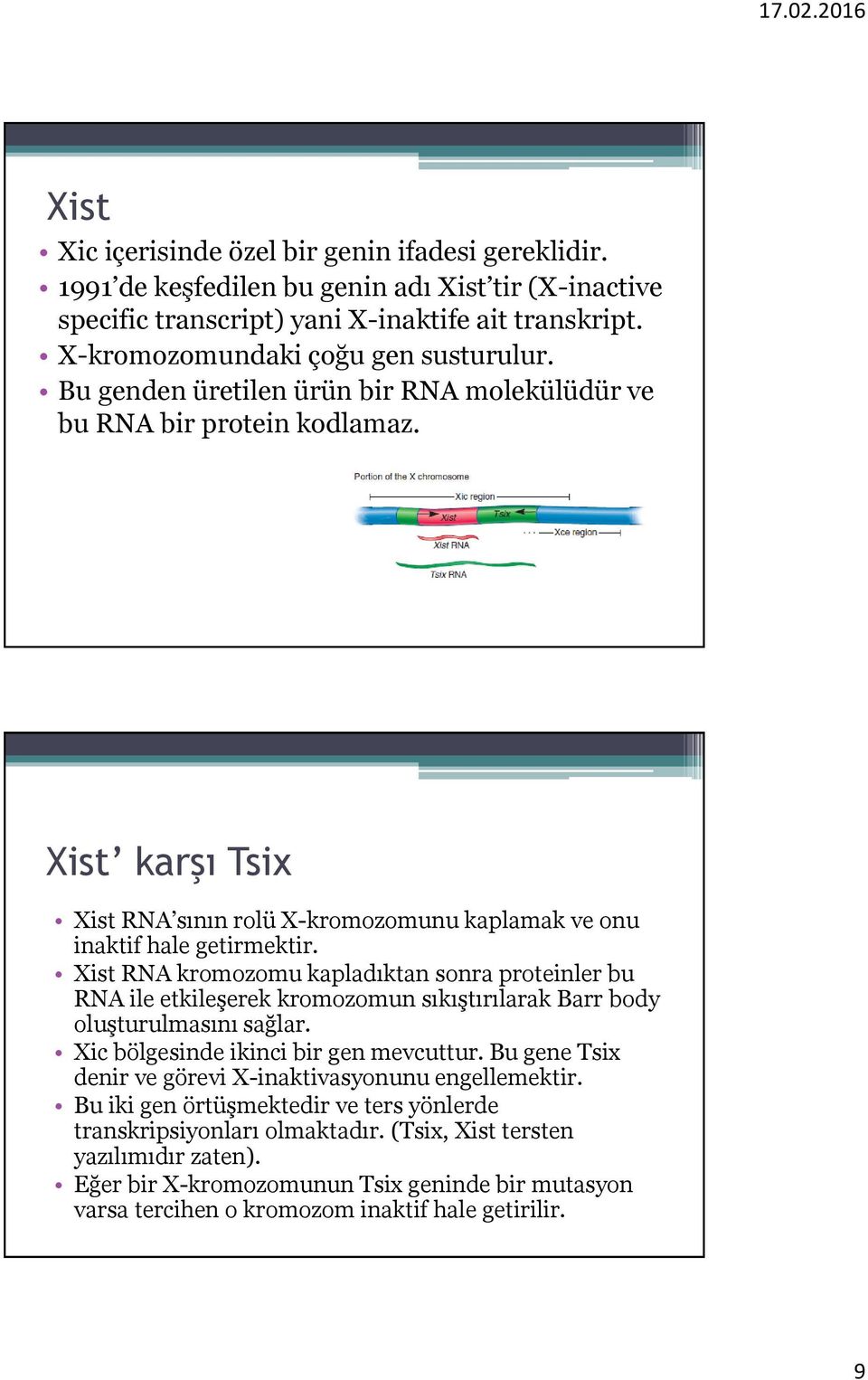 Xist RNA kromozomu kapladıktan sonra proteinler bu RNA ile etkileşerek kromozomun sıkıştırılarak Barr body oluşturulmasını sağlar. Xic bölgesinde ikinci bir gen mevcuttur.
