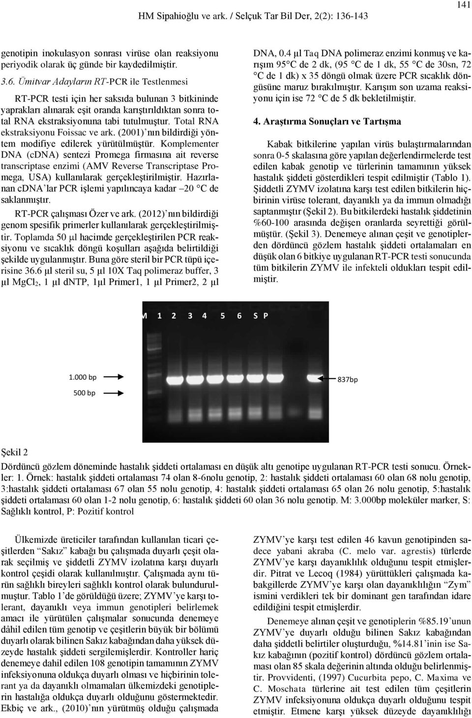 Total RNA ekstraksiyonu Foissac ve ark. (2001) nın bildirdiği yöntem modifiye edilerek yürütülmüştür.