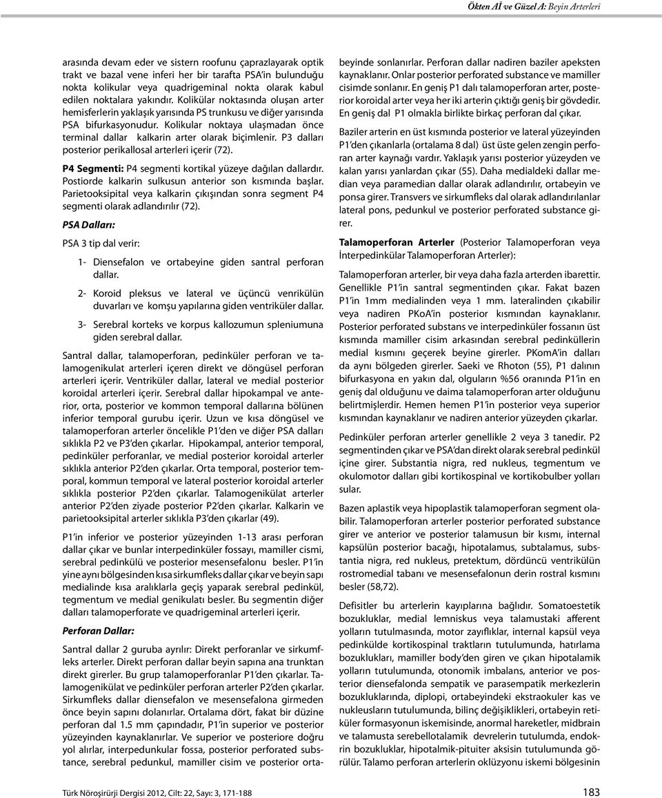 Kolikular noktaya ulaşmadan önce terminal dallar kalkarin arter olarak biçimlenir. P3 dalları posterior perikallosal arterleri içerir (72). P4 Segmenti: P4 segmenti kortikal yüzeye dağılan dallardır.