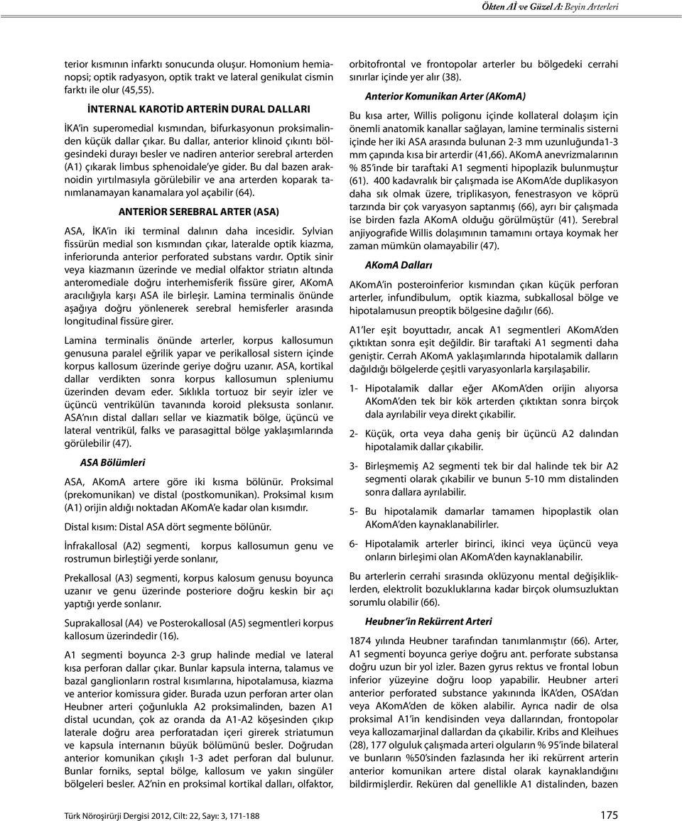 Bu dallar, anterior klinoid çıkıntı bölgesindeki durayı besler ve nadiren anterior serebral arterden (A1) çıkarak limbus sphenoidale ye gider.