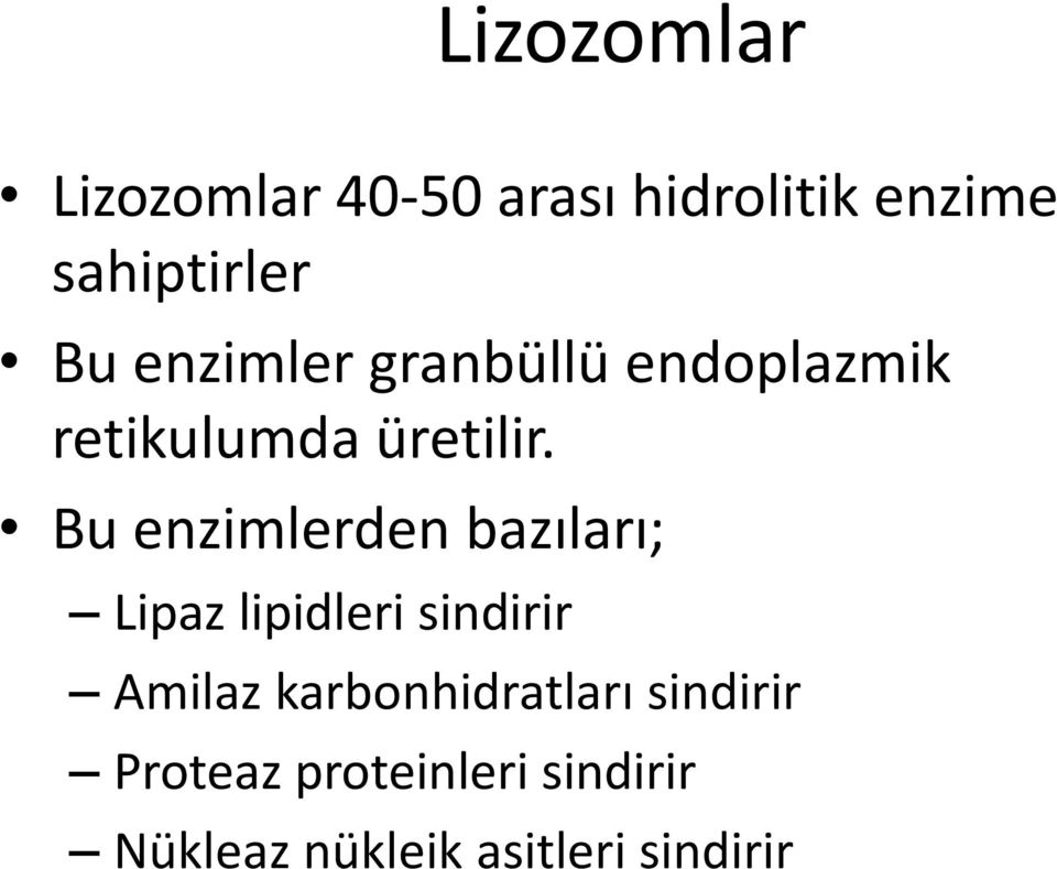 Bu enzimlerden bazıları; Lipaz lipidleri sindirir Amilaz