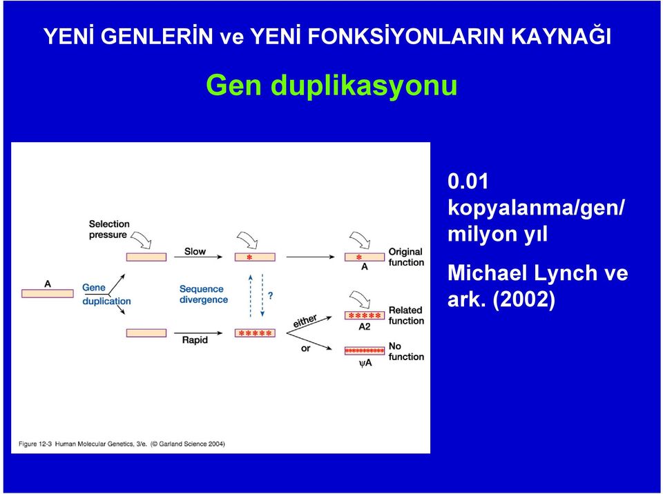 duplikasyonu 0.