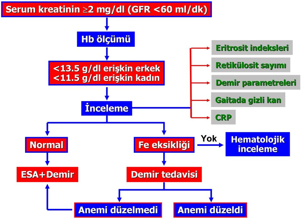 5 g/dl erişkin kadın İnceleme Eritrosit indeksleri Retikülosit sayımı