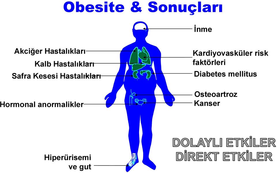 Hormonal anormalikler Kardiyovasküler risk