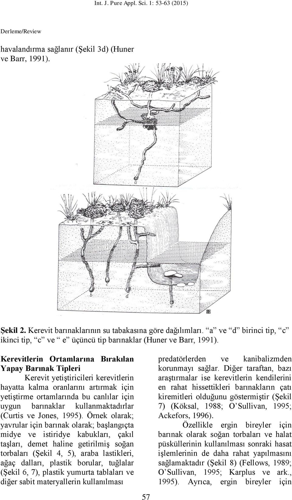 Kerevitlerin Ortamlarına Bırakılan Yapay Barınak Tipleri Kerevit yetiştiricileri kerevitlerin hayatta kalma oranlarını artırmak için yetiştirme ortamlarında bu canlılar için uygun barınaklar