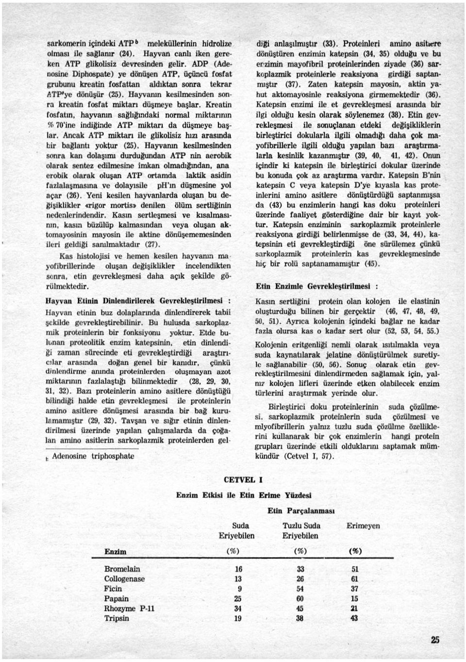 Kreatin fosfatın, hayvanın sağlığındaki normal miktarının % 70'ine indiğinde ATP miktarı da düşmeye başlar. Ancak ATP miktarı ile glikolisiz hızı arasında bir bağlantı yoktur (25).