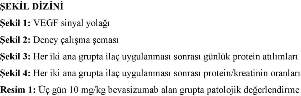 atılımları Şekil 4: Her iki ana grupta ilaç uygulanması sonrası