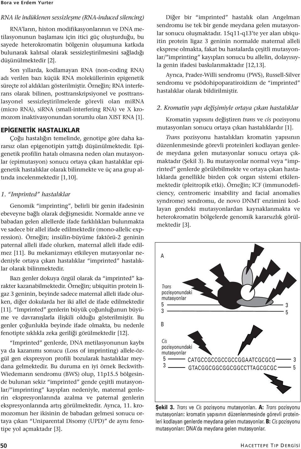 Son yıllarda, kodlamayan RNA (non-coding RNA) adı verilen bazı küçük RNA moleküllerinin epigenetik süreçte rol aldıkları gösterilmiştir.