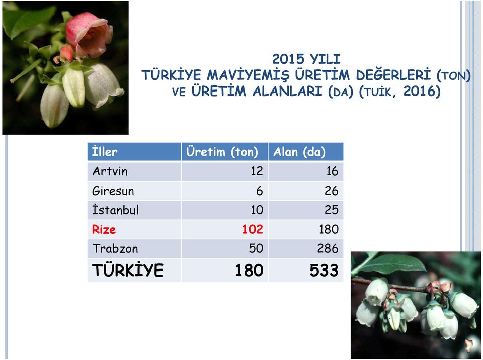 (ton) Alan (da) Artvin 12 16 Giresun 6 26 İstanbul