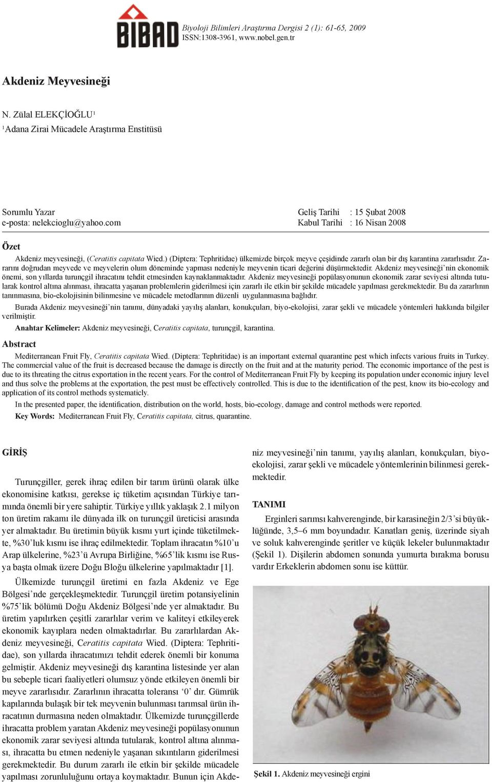 com Kabul Tarihi : 16 Nisan 2008 Özet Akdeniz meyvesineği, (Ceratitis capitata Wied.) (Diptera: Tephritidae) ülkemizde birçok meyve çeşidinde zararlı olan bir dış karantina zararlısıdır.