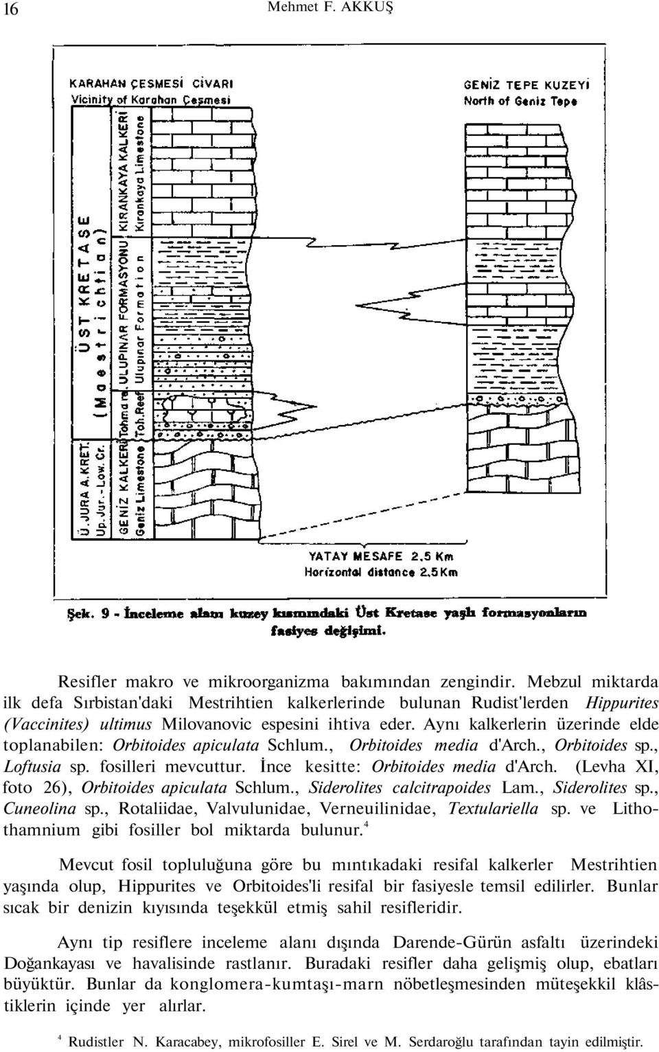 Aynı kalkerlerin üzerinde elde toplanabilen: Orbitoides apiculata Schlum., Orbitoides media d'arch., Orbitoides sp., Loftusia sp. fosilleri mevcuttur. İnce kesitte: Orbitoides media d'arch.