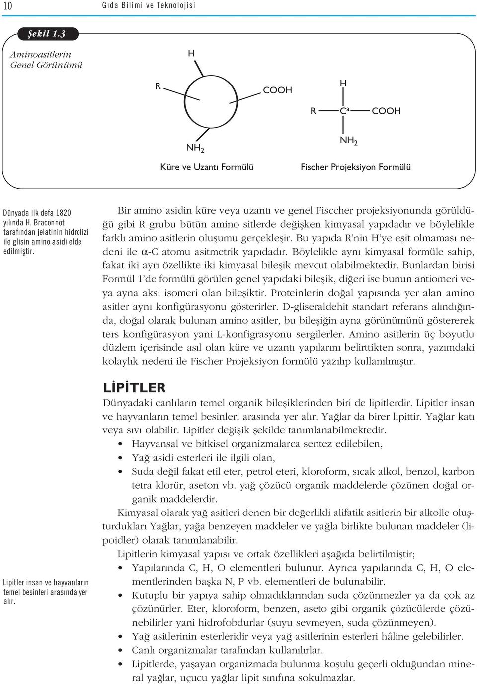 Bir amino asidin küre veya uzant ve genel Fisccher projeksiyonunda görüldü- ü gibi R grubu bütün amino sitlerde de iflken kimyasal yap dad r ve böylelikle farkl amino asitlerin oluflumu gerçekleflir.