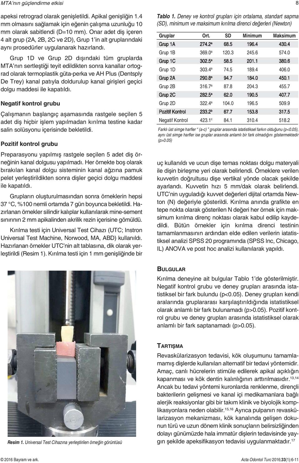 Grup 1D ve Grup 2D dışındaki tüm gruplarda MTA nın sertleştiği teyit edildikten sonra kanallar ortograd olarak termoplastik güta-perka ve AH Plus (Dentsply De Trey) kanal patıyla doldurulup kanal