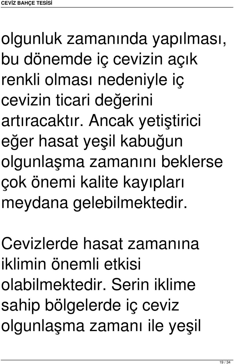 Ancak yetiştirici eğer hasat yeşil kabuğun olgunlaşma zamanını beklerse çok önemi kalite