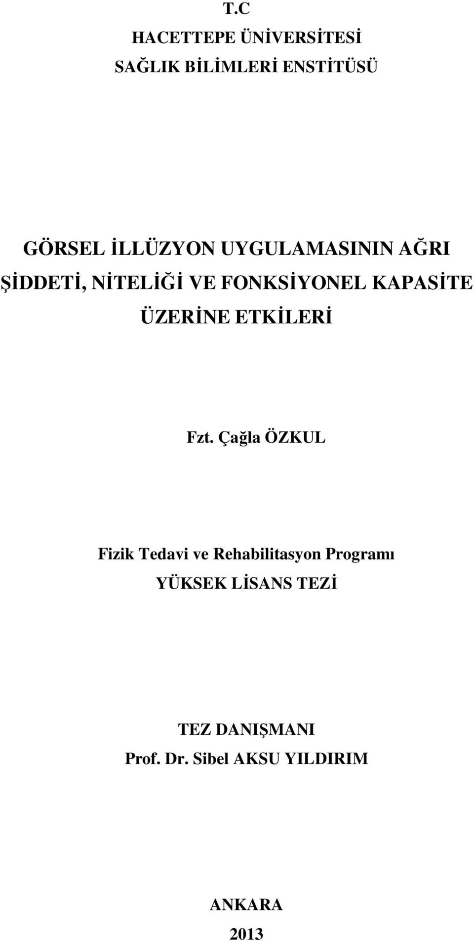 ETKİLERİ Fzt.